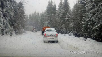 Condiții de trafic infernale pe DN 17A, spre Palma. Foto: IPJ Suceava