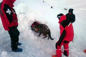 Avalanșele sunt iminente în această perioadă în munți