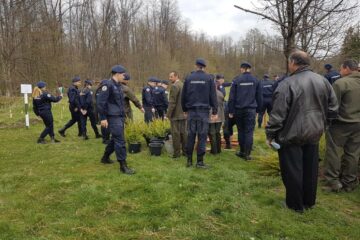 Plantare de arbori la OS Râșca, cu voluntari din Poliție, Jandarmerie, școli și administrație