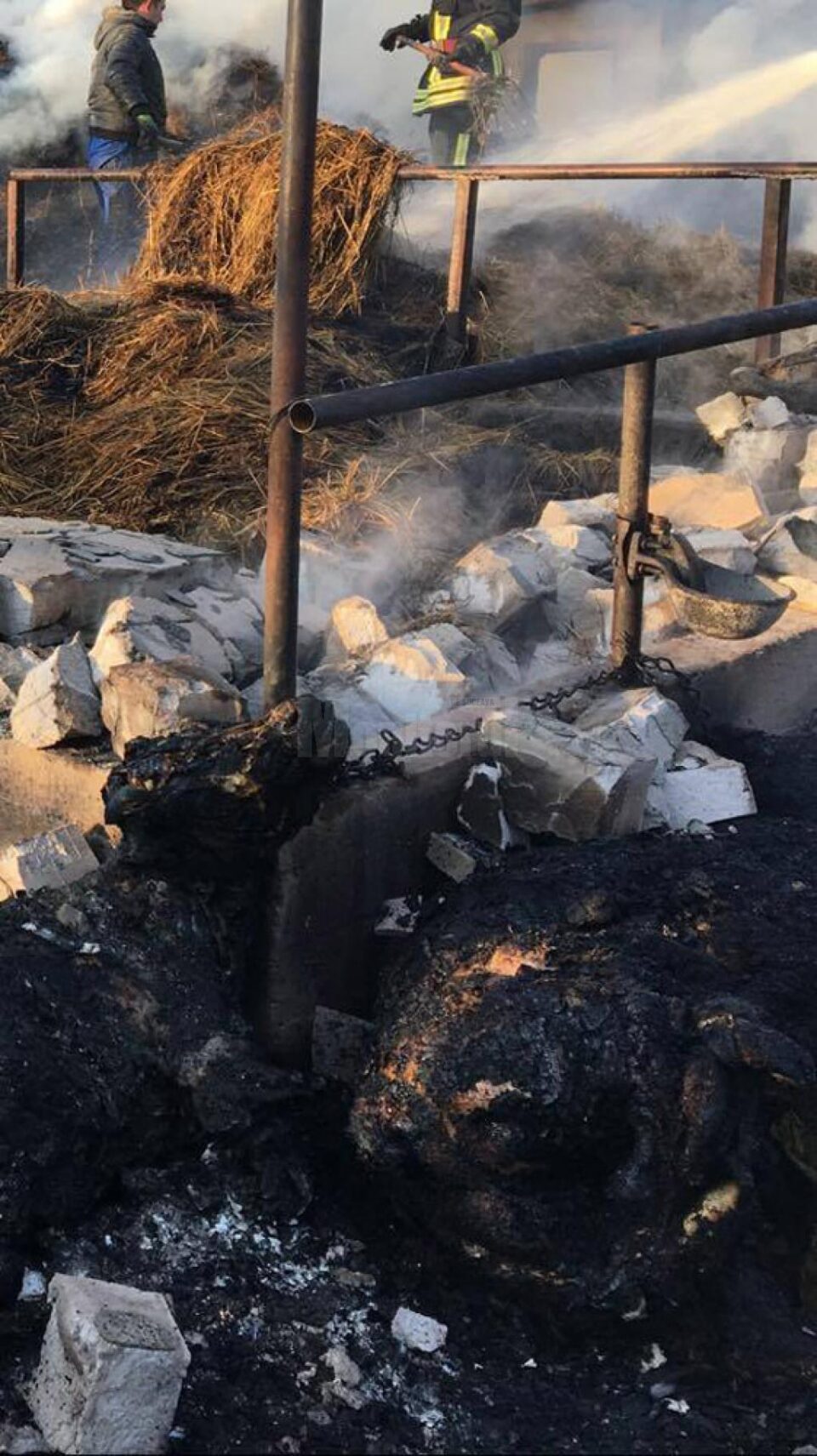 Focul a făcut pagube importante proprietarului fermei de animale, care a suferit un prejudiciu de circa 500.000 de lei Focul a făcut pagube importante proprietarului fermei de animale, care a suferit un prejudiciu de circa 500.000 de lei