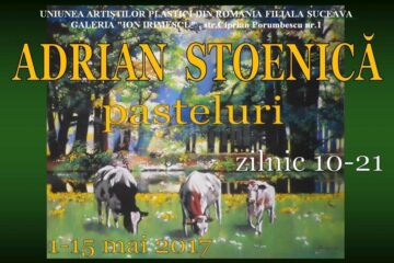 Pasteluri și fotografii la Galeria de Artă „Ion Irimescu” Suceava