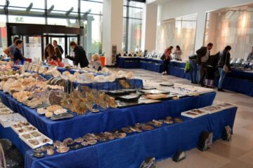 Expomineralia Iulius Mall Suceava