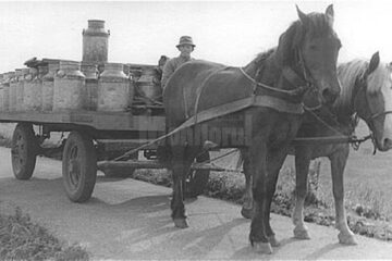 „Cooperativă pentru valorificarea laptelui ”