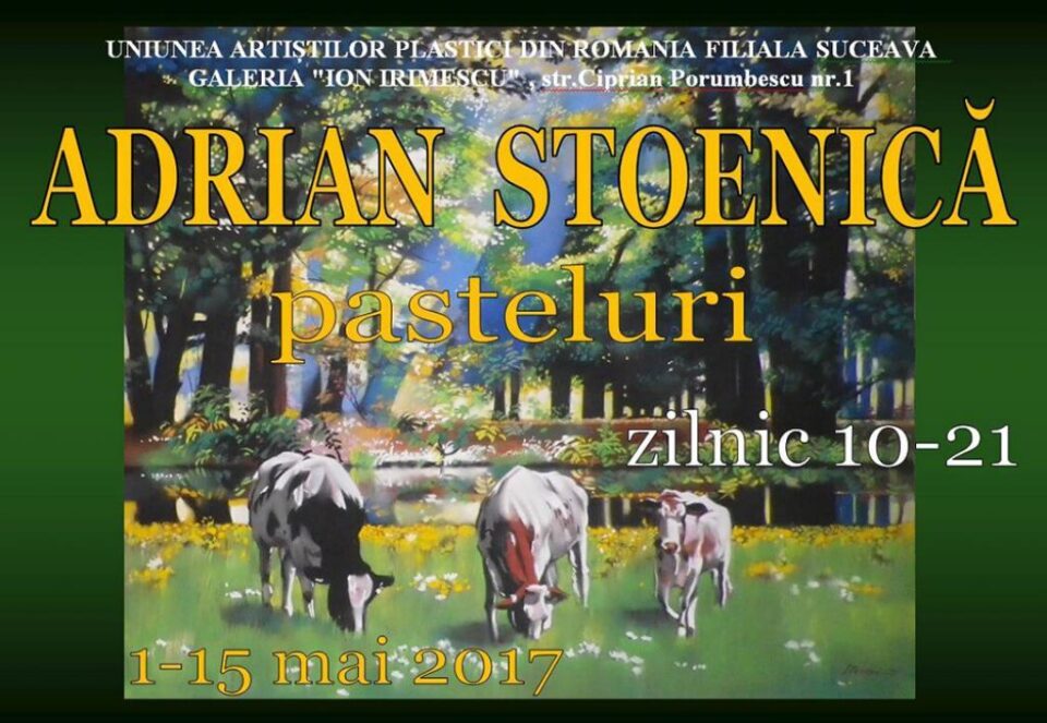 Adrian & Ioan Stoenică - Expoziție de artă plastică și fotografie