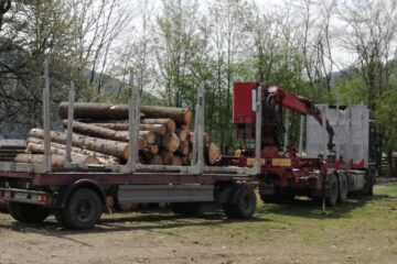 Transportul de lemn