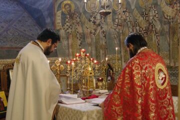 „În Ortodoxie nu avem democrație și egalitate absolută între cetățenii Trupului lui Hristos”