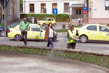 Florile sunt udate pentru a fi frumoase la vizită