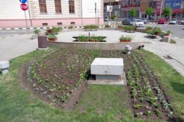 Flori plantate special pentru președintele Iohannis