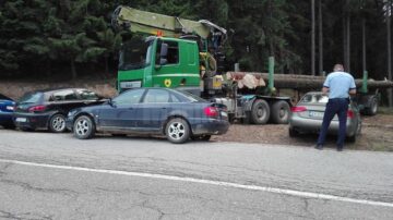 Echipa de control a Gărzii Forestiere a fost amenințată de proprietarii unei suprafețe împădurite