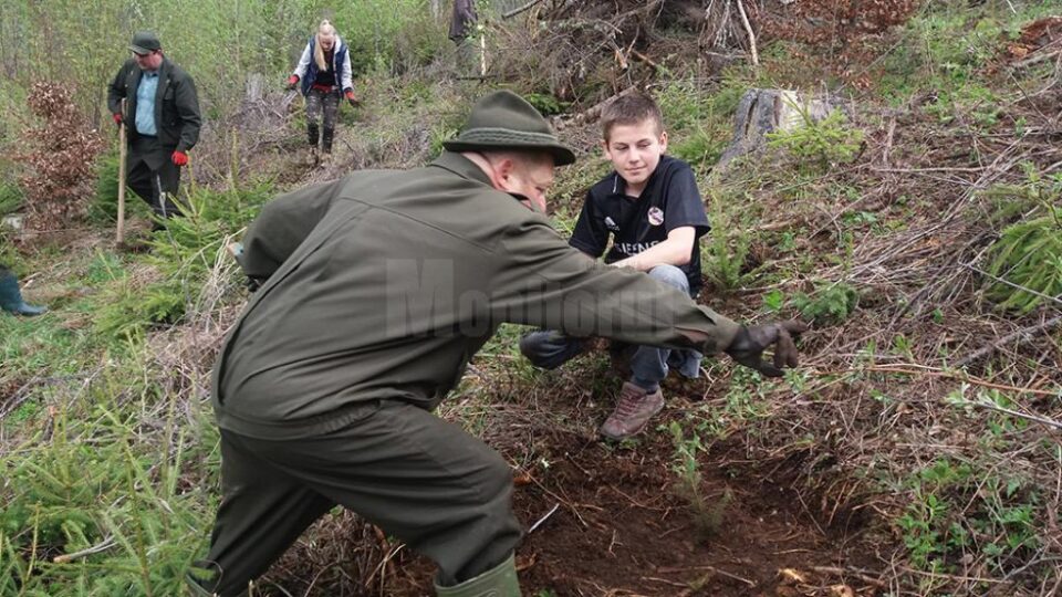 Acțiune de împădurire la Dorna, cu elevii de la Poiana Stampei și Dorna Candrenilor