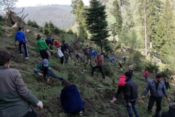 Elevii Școlii Gimnaziale Stulpicani au participat sâmbătă la o acțiune de împădurire