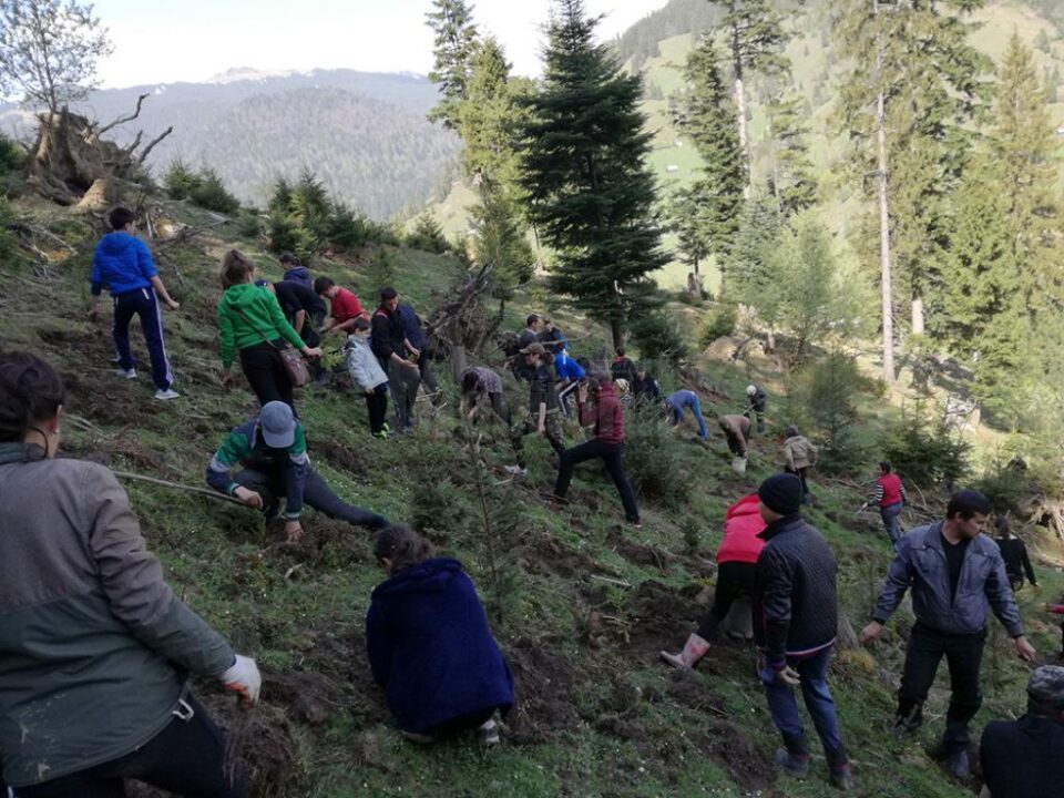 Elevii Școlii Gimnaziale Stulpicani au participat sâmbătă la o acțiune de împădurire