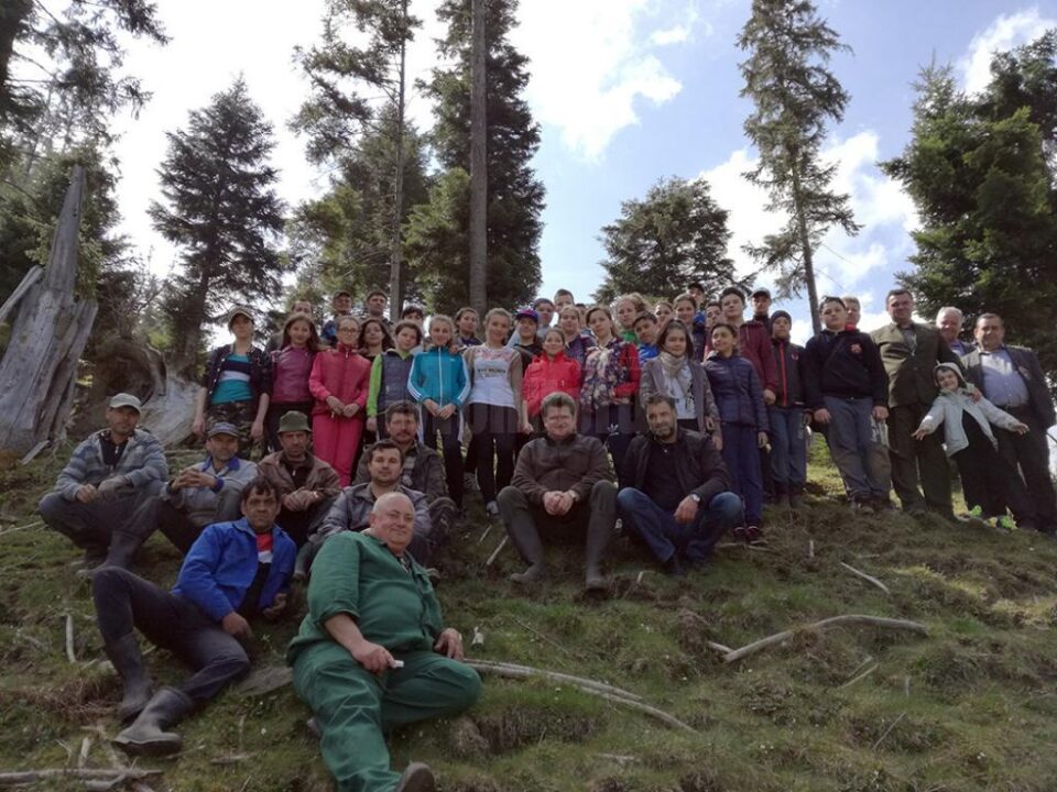 Elevii școlii din Stulpicani au plantat puieți în pădurea Slătioara
