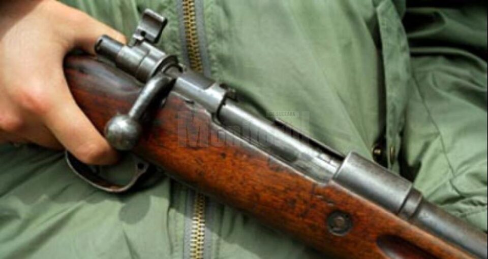 Pădurarul a fost nevoit să tragă un foc de avertisment, pentru a se apăra de atacatori