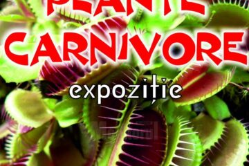 Expoziția „Plante carnivore”