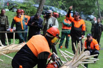 Cei mai buni fasonatori din județ se vor confrunta în probele de aptitudini