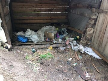 Urgie și prăpăd în urma firmelor care exploatează material lemnos