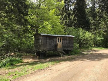 Barăci de lemn sau metal în care locuiesc muncitorii