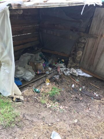 Urgie și prăpăd în urma firmelor care exploatează material lemnos