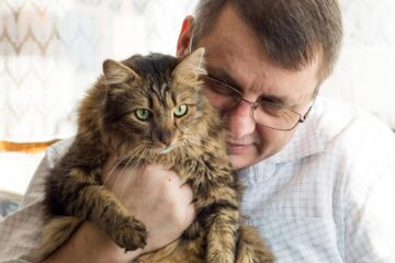 Viorel Ilișoi lansează „Cele mai frumoase reportaje”, azi, la Suceava