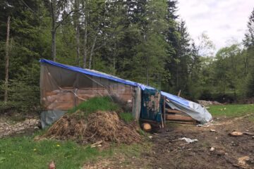 Improvizații din celofane și alte materiale adăposturi pentru animale