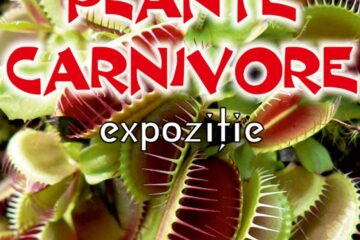Expoziția „Plante carnivore”, la Muzeul de Științele Naturii Suceava