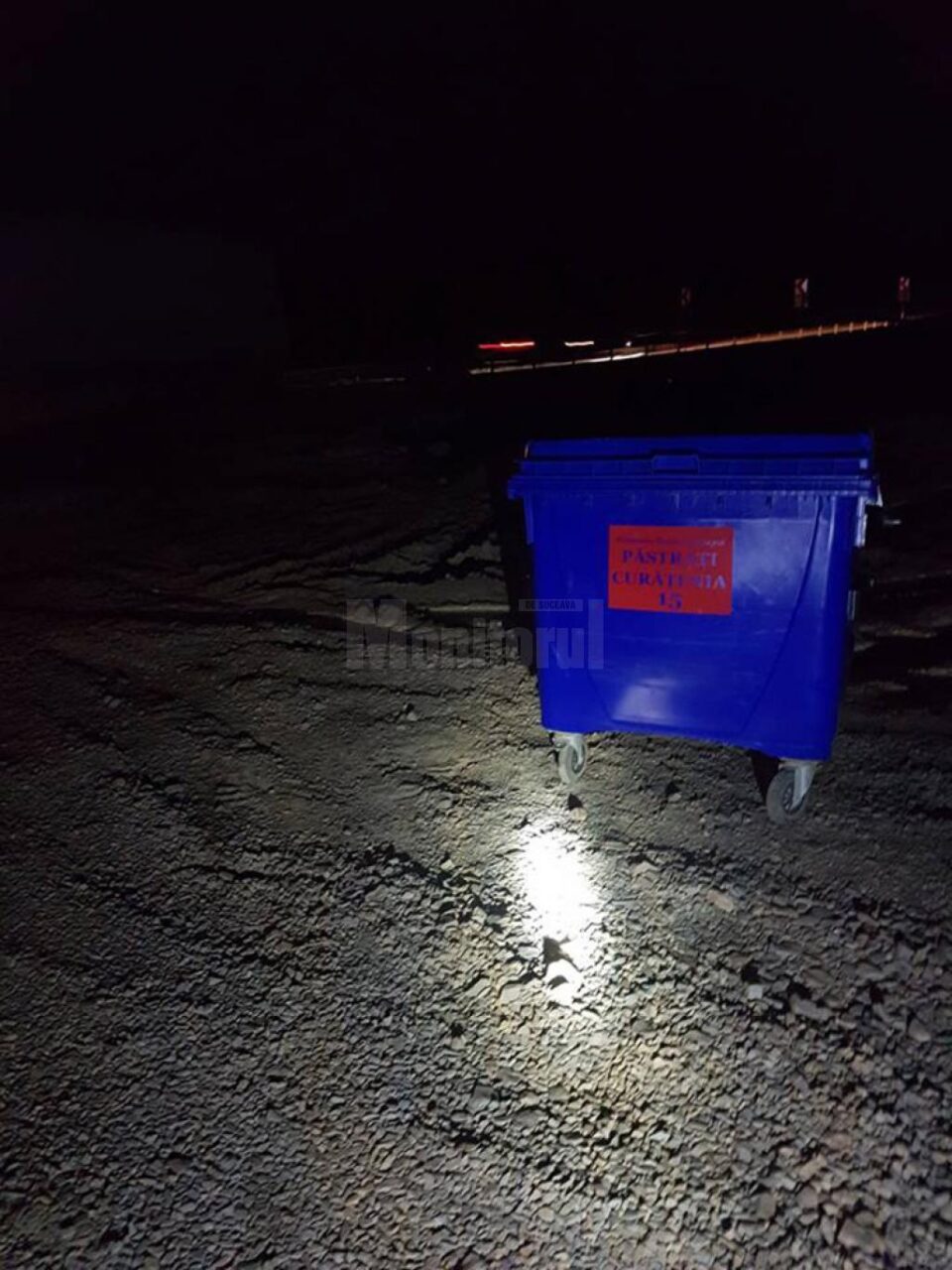 Pubela de gunoi ignorată