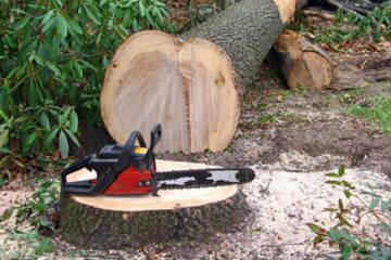 Un muncitor forestier a fost rănit grav
