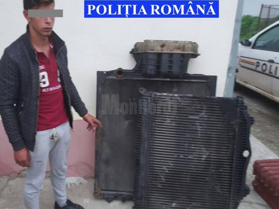 Minori din Șcheia, reținuți după ce au fost surprinși în timp ce furau