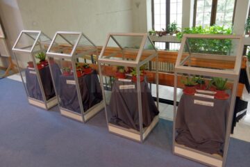 La Muzeul de Științele Naturii din Suceava s-a deschis ieri prima expoziție de plante carnivore