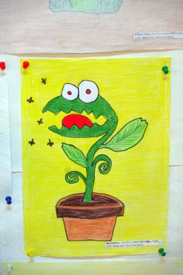 La Muzeul de Științele Naturii din Suceava s-a deschis ieri prima expoziție de plante carnivore