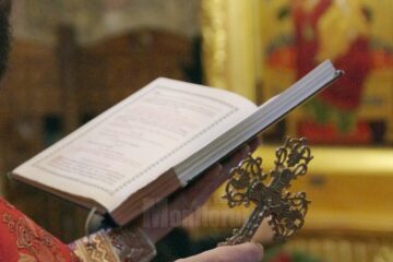 Pietrele din mâini erau inimile lor pietrificate