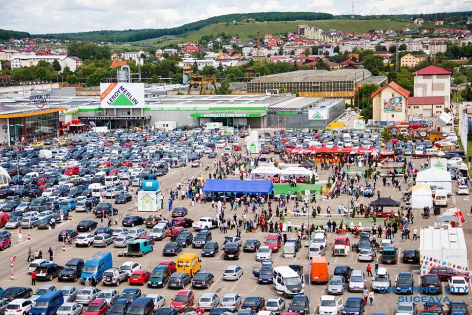 Peste 600 de câini vor participa la Bucovina Dog Show 2017