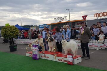 Câștigătorii din prima zi a Bucovina Dog Show, pe podium