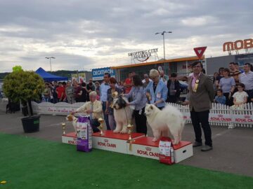 Câștigătorii din prima zi a Bucovina Dog Show, pe podium