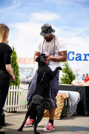 Cabral, vedeta ProTv, a participat în concurs cu două exemplare de cane corso