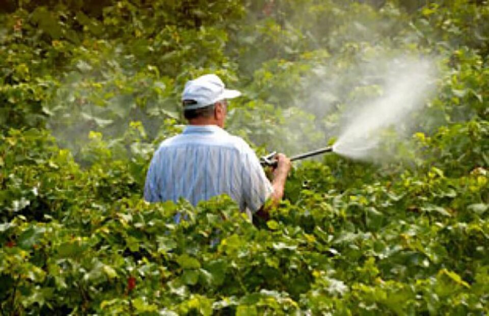 Comerțul cu pesticide, interzis fără documente legale Sursa www.adevărul.ro