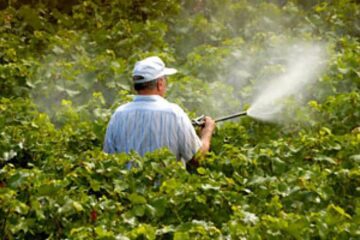 Comerțul cu pesticide, interzis fără documente legale Sursa www.adevărul.ro