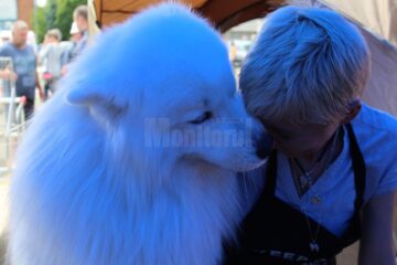 Bucovina Dog Show 2017, un succes ce aduce la Suceava o nouă competiție internațională CACIB