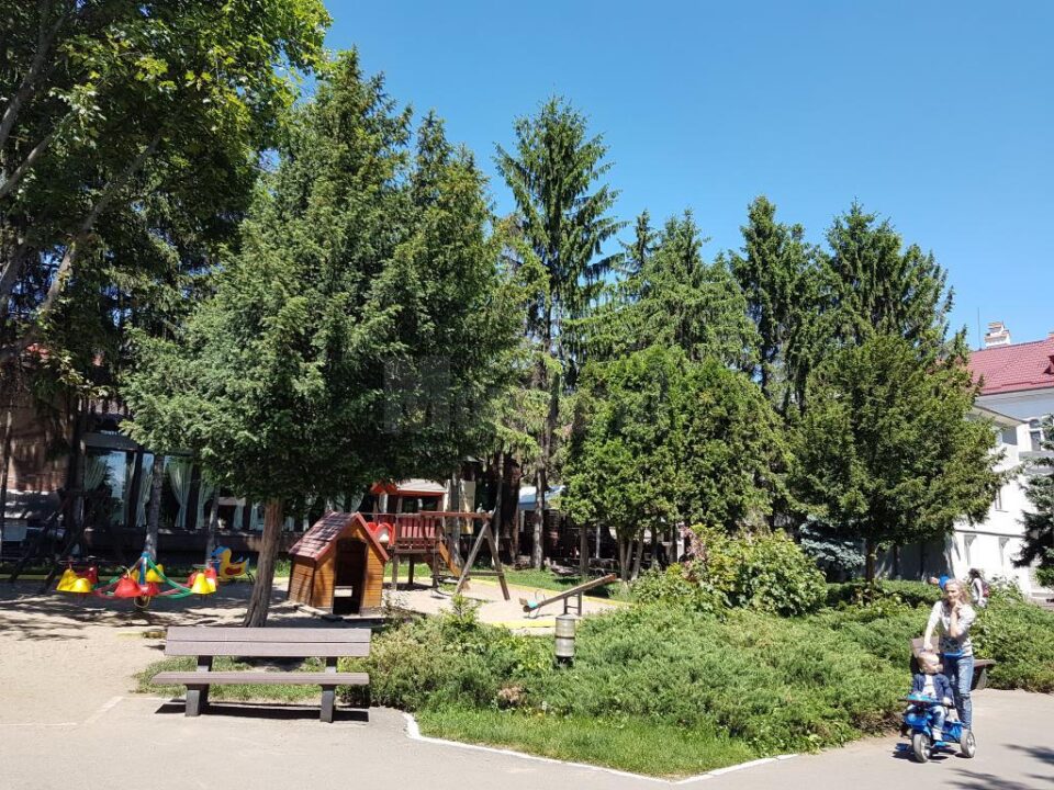 Dezinsectie pe spatiile verzi din Suceava