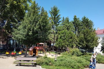 Dezinsectie pe spatiile verzi din Suceava