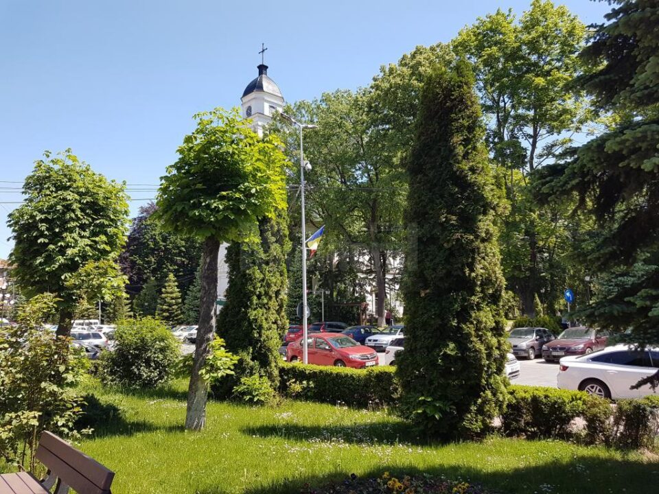 Dezinsectie pe spatiile verzi din Suceava 2