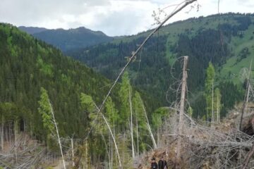 Intervenție dificilă