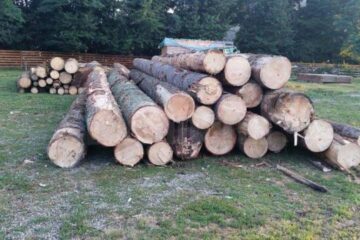 Opt amenzi date într-o singură zi unei firme ce debitează și comercializează lemn