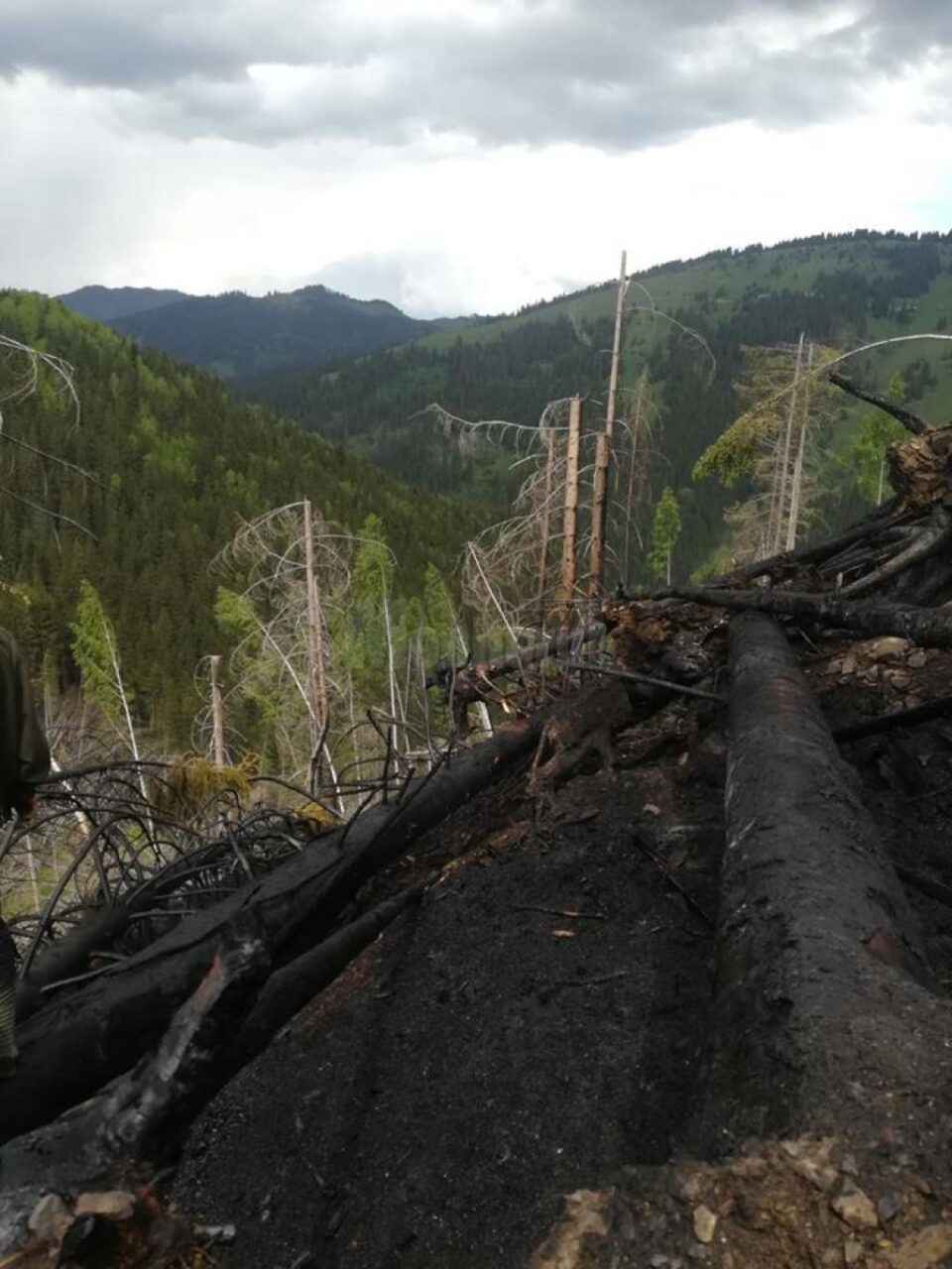 Intervenție dificilă