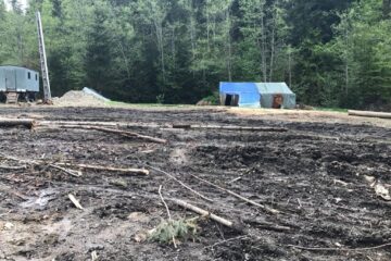 Mizeria și dezastrul ecologic dintr-o pădure de la Sucevița