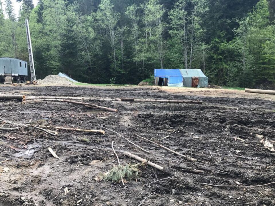 Mizeria și dezastrul ecologic dintr-o pădure de la Sucevița