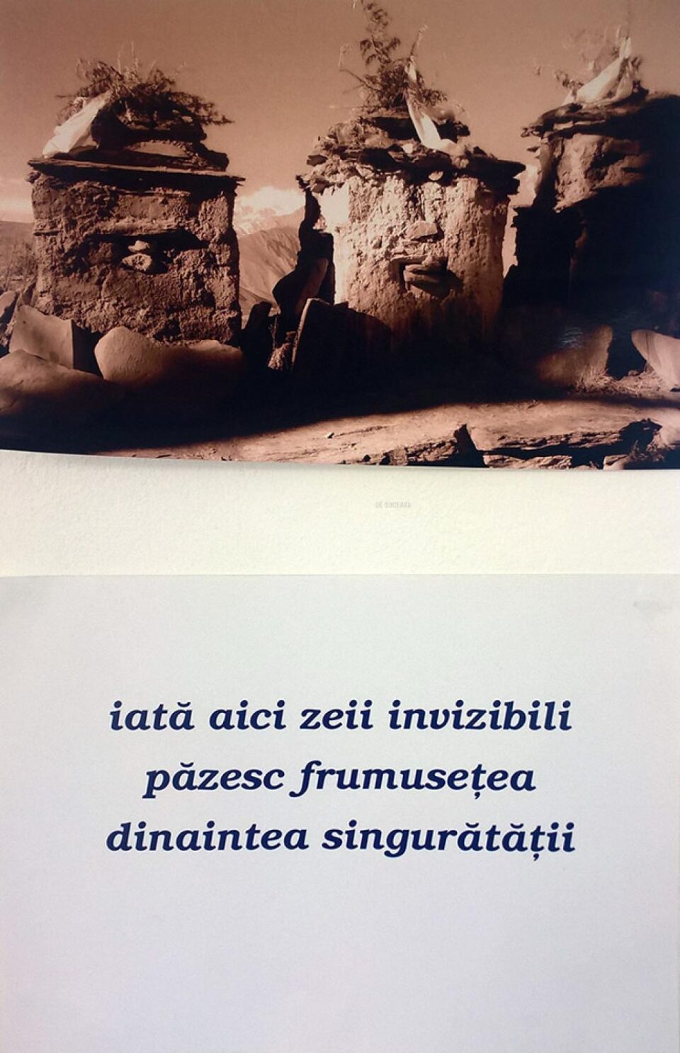 Spiritul munților Himalaya, adus la Suceava de poetul Dan Florin Prodan