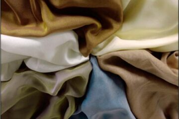 „O chestiune economică”