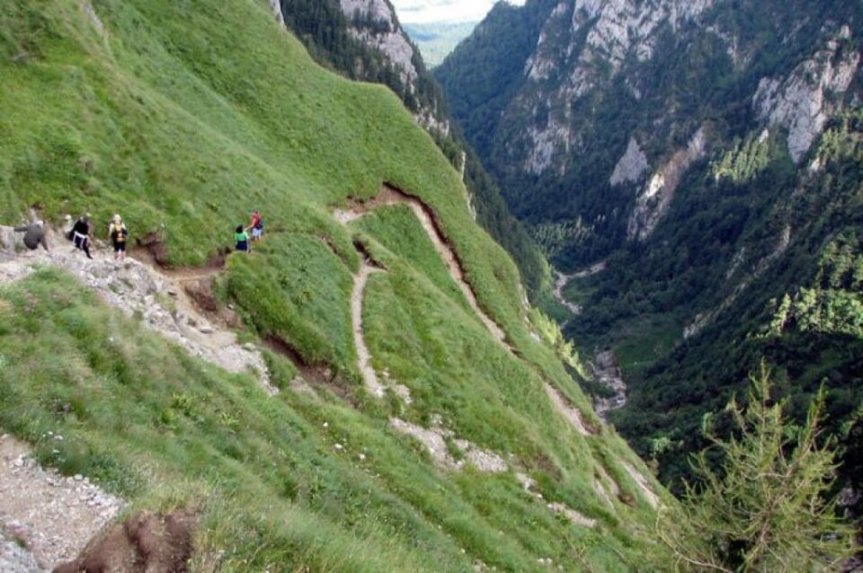 Jepii Mici, FOTO vietuitorul.eu